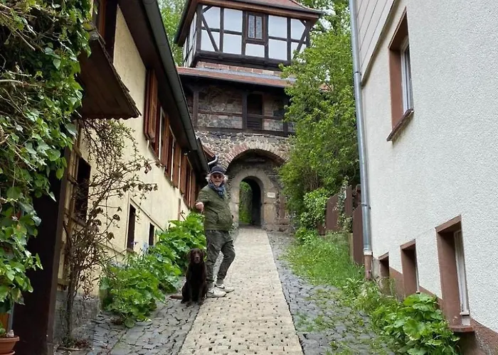 Apartment Idyll Mit Loggia Und Garten By Interhome Welferode